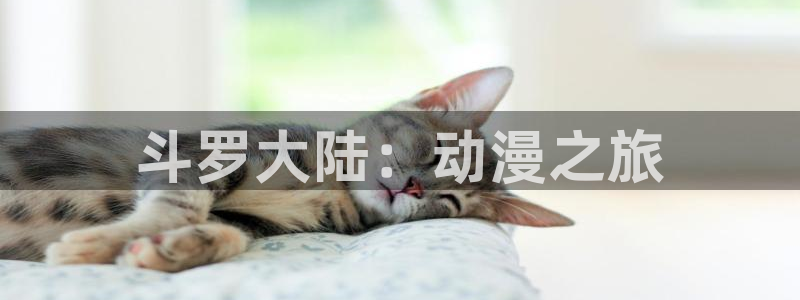 囧次元官方网页入口：斗罗大陆：动漫之旅