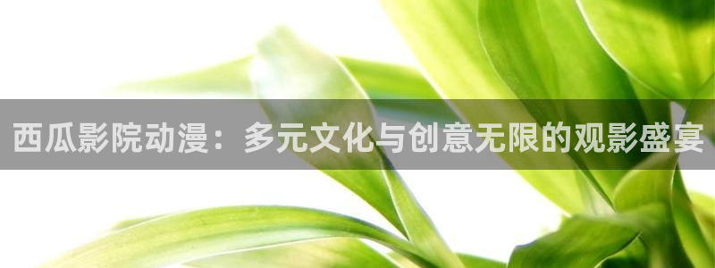囧次元a：西瓜影院动漫：多元文化与创意无限的观影盛宴