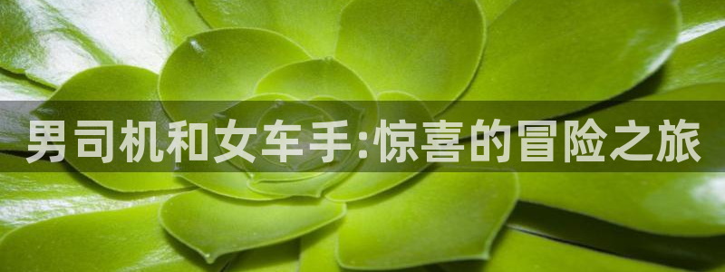囧次元正版下载安装：男司机和女车手:惊喜的冒险之旅