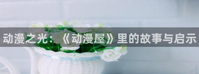 囧次元下载入口：动漫之光：《动漫屋》里的故事与启示