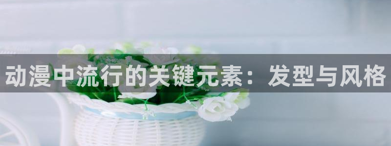 囧次元的官方网站：动漫中流行的关键元素：发型与风格