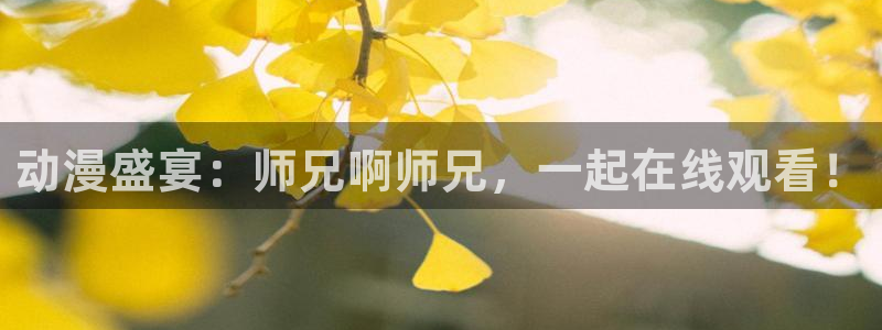囧次元为什么打不开了：动漫盛宴：师兄啊师兄，一起在线观看！