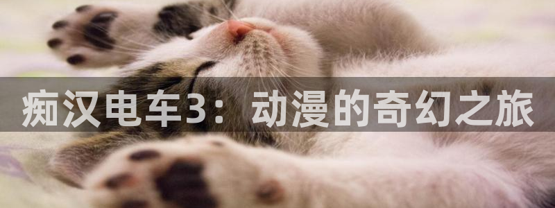 囧次元官方正版官网入口：痴汉电车3：动漫的奇幻之旅