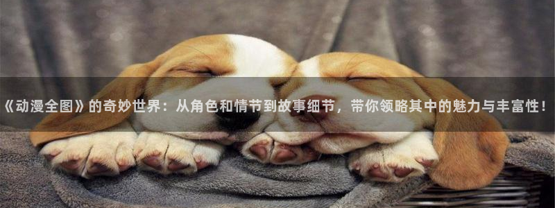 囧次元手机号注册入口：《动漫全图》的奇妙世界：从角色和情节到故事细节，带你领略其中的魅力与丰富性！