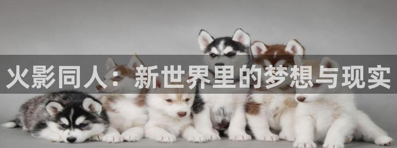 囧次元app最新版本：火影同人：新世界里的梦想与现实