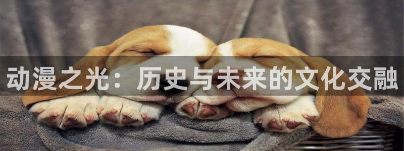 囧次元免费下载：动漫之光：历史与未来的文化交融