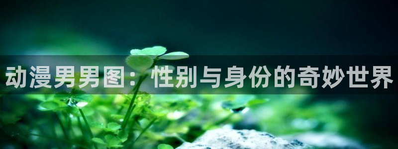 囧次元网页：动漫男男图：性别与身份的奇妙世界