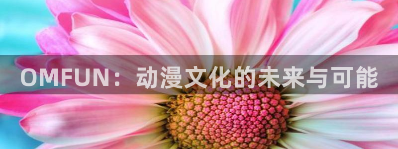 囧次元官网入口下载最新版：OMFUN：动漫文化的未来与可能