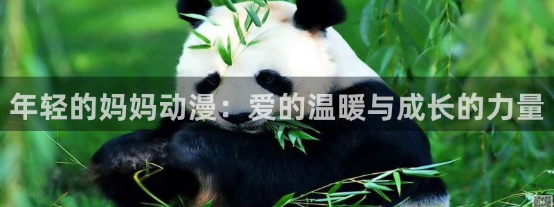 囧次元动漫官方网入口：年轻的妈妈动漫：爱的温暖与成长的力量