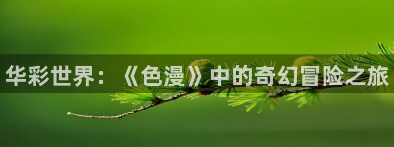 囧次元下载网站：华彩世界：《色漫》中的奇幻冒险之旅