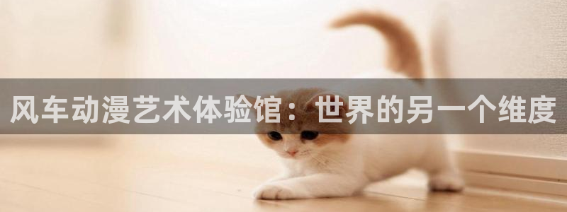 囧次元正版官网：风车动漫艺术体验馆：世界的另一个维度