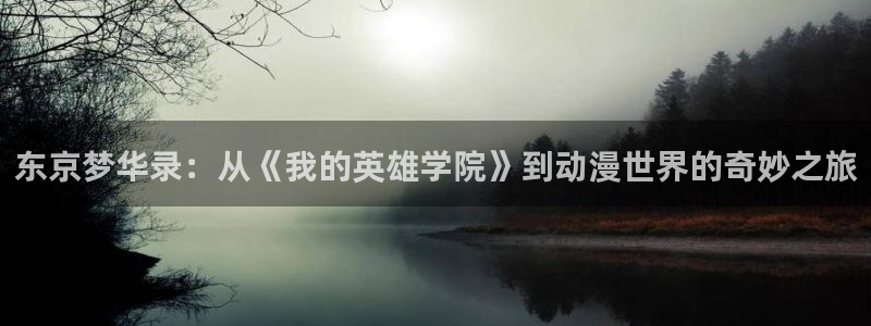 囧次元旧版：东京梦华录：从《我的英雄学院》到动漫世界的奇妙之旅