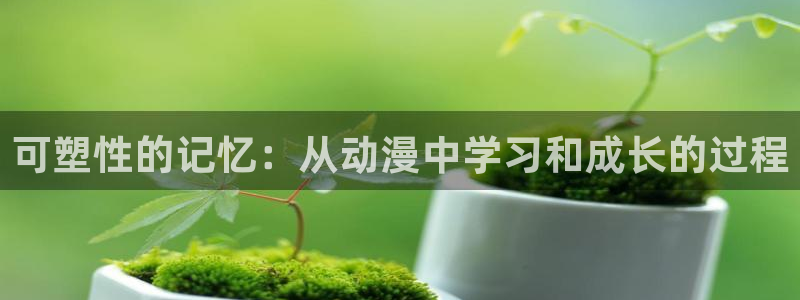 囧次元官方网页版入口：可塑性的记忆：从动漫中学习和成长的过程