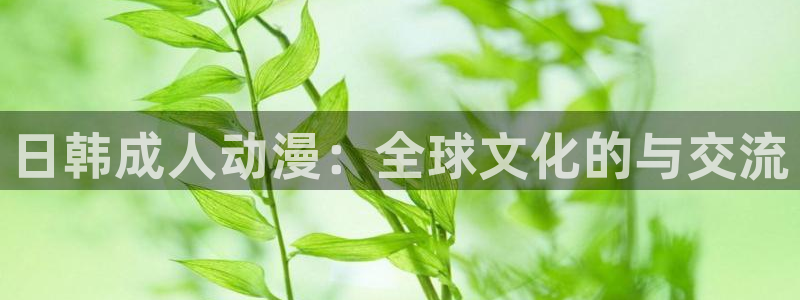 囧次元怎么下载：日韩成人动漫：全球文化的与交流