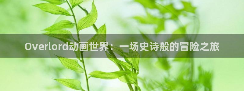 囧次元是哪个公司的：Overlord动画世界：一场史诗般的冒险之旅