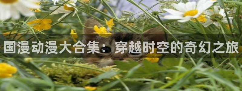 囧次元官方网页版入口：国漫动漫大合集：穿越时空的奇幻之旅