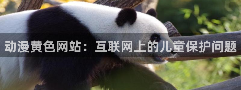 囧次元ios：动漫黄色网站：互联网上的儿童保护问题