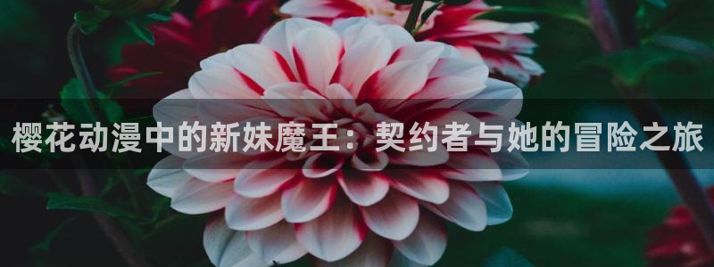 jcapp囧次元官网入口：樱花动漫中的新妹魔王：契约者与她的冒险之旅
