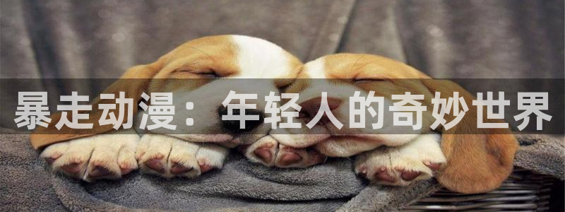 囧次元 下载：暴走动漫：年轻人的奇妙世界