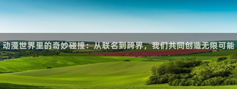 囧次元正版入口：动漫世界里的奇妙碰撞：从联名到跨界，我们共同创造无限可能