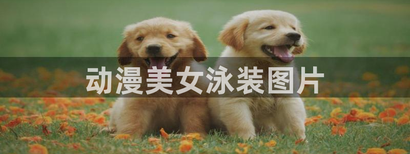囧次元1.5.7.9官网入口：动漫美女泳装图片