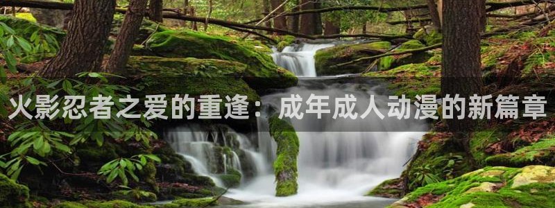 囧次元app下载官网网址：火影忍者之爱的重逢：成年成人动漫的新篇章