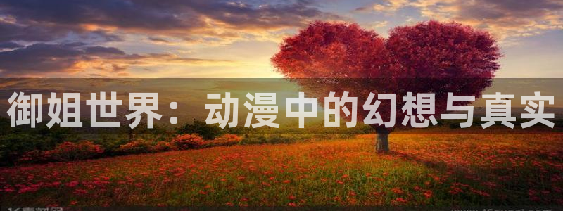 囧次元官方正版app下载：御姐世界：动漫中的幻想与真实