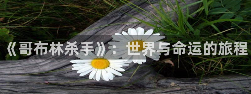 囧次元正版官方下载：《哥布林杀手》：世界与命运的旅程