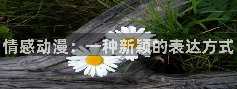 囧次元下载：情感动漫：一种新颖的表达方式