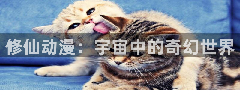 囧次元网页版：修仙动漫：宇宙中的奇幻世界